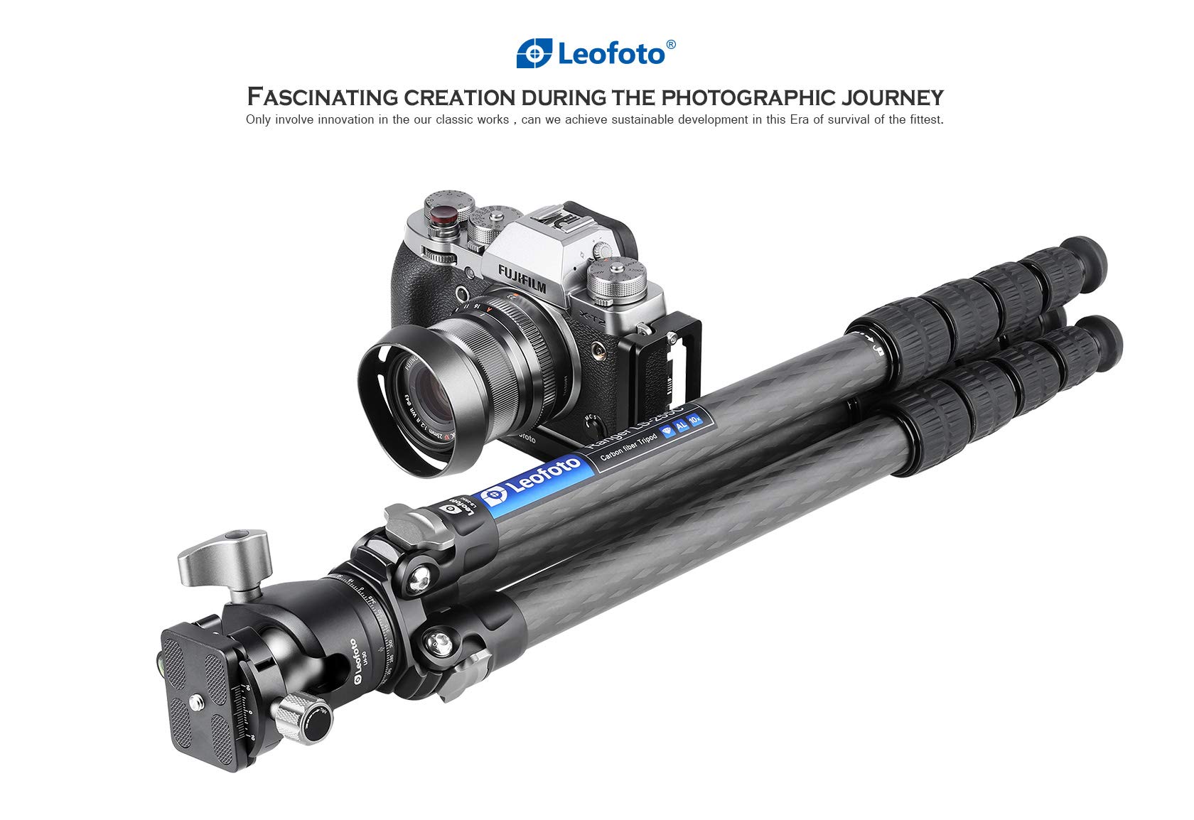 Leofoto - Ranger - trójnóg węglowy z głowicą kulową - lekki - nogi regulowane pod 3 kątami - idealny do fotografii makro - LS-255C+LH-30