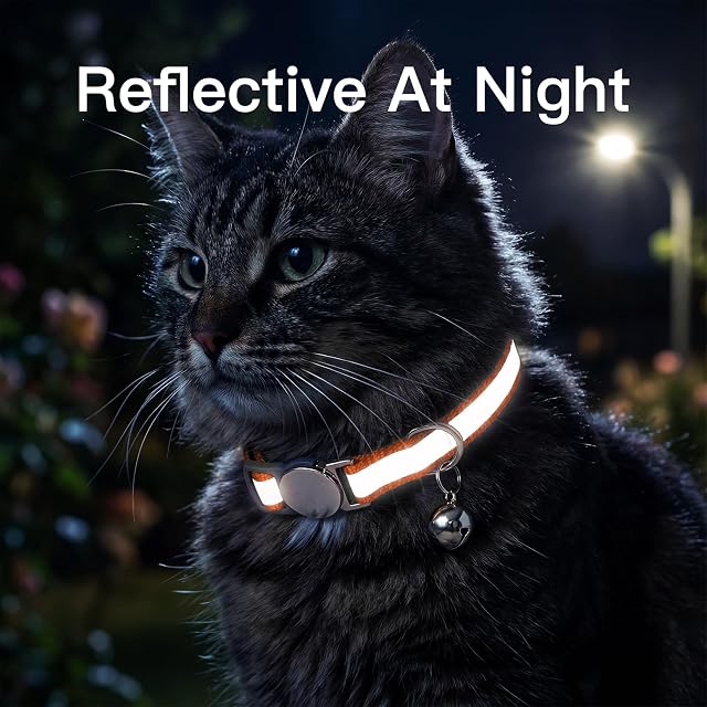 Foto 6 de 6 de Collar de gato reflectante personalizado con etiqueta de nombre