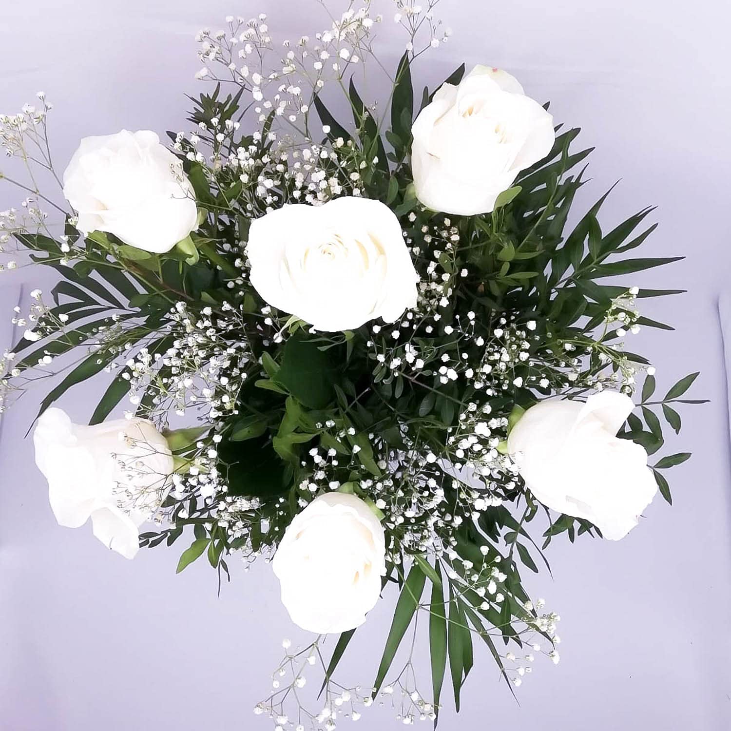 More studies in Brownsville history, image size:1500x1500