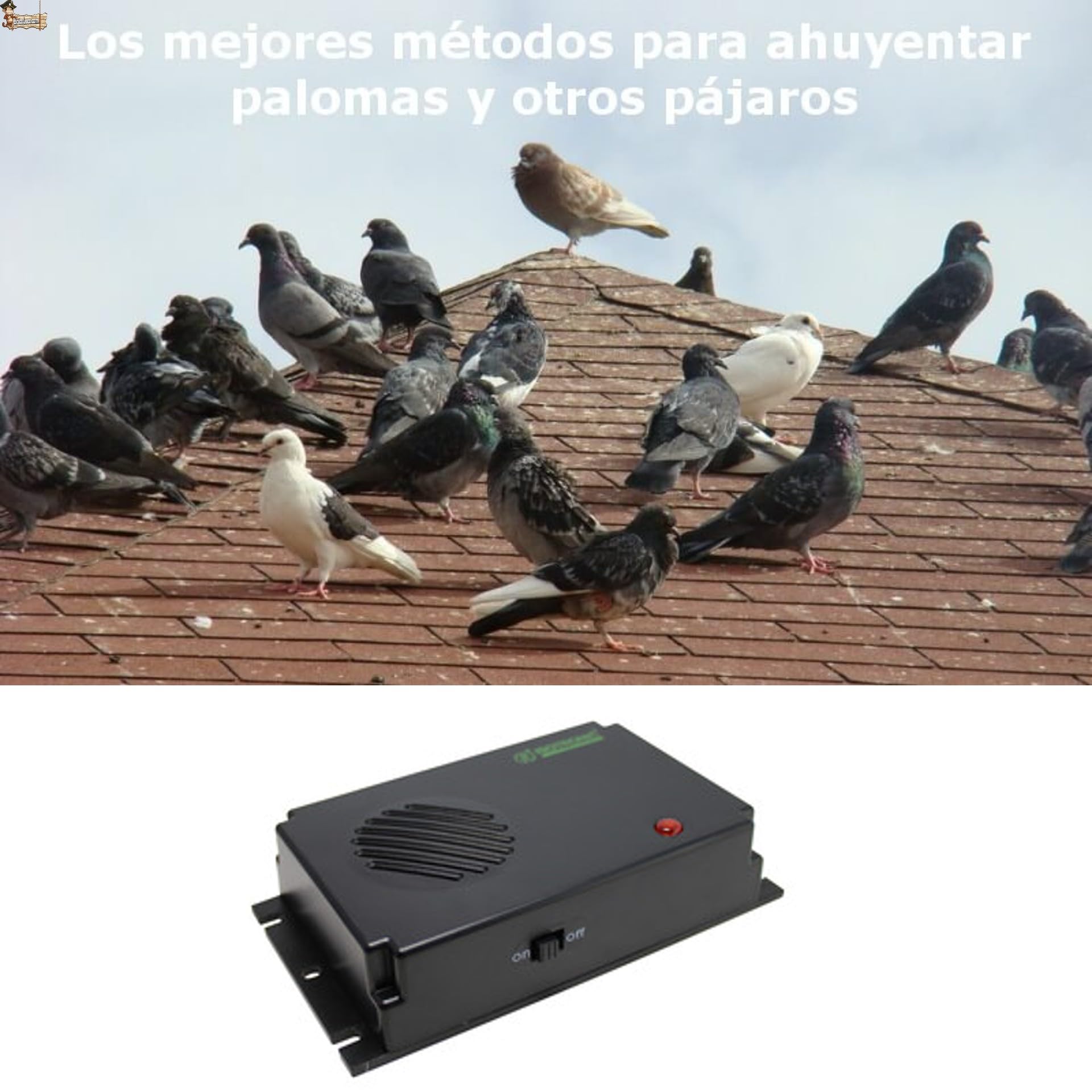 BricoLoco.com Ahuyentador espanta pájaros por ultrasonido. Pack 3x40 m2. Repelente Anti Palomas. Exterior o Interior. Más fácil Que Pinchos, más eficaz Que búhos. Pilas NO Incluidas (3, SIN Pilas)
