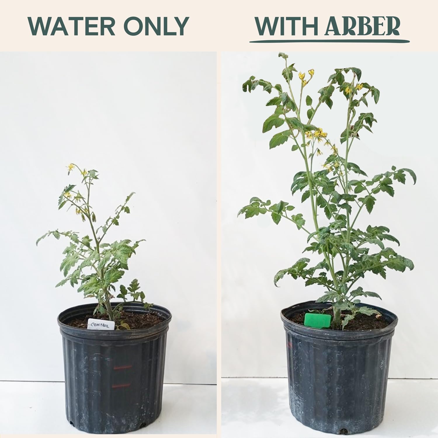 Arber Organic Protectant + Spray Bottle