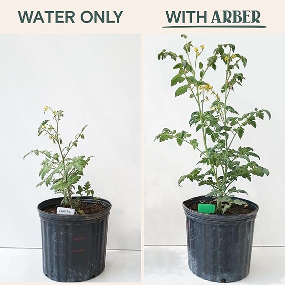 Arber Organic Protectant + Spray Bottle