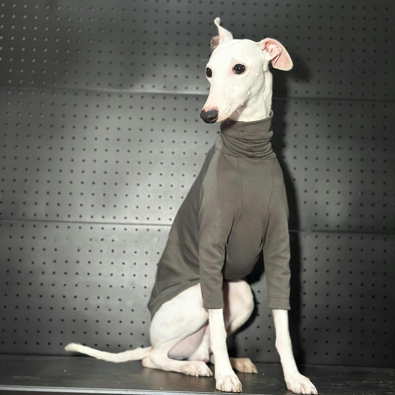 Camiseta de Galgo Italiano de Primavera y Verano, Ropa para Perros Whippet súper Fresca, Mono para Cachorros, Jersey elástico Ligero para Perros pequeños, medianos y Grandes