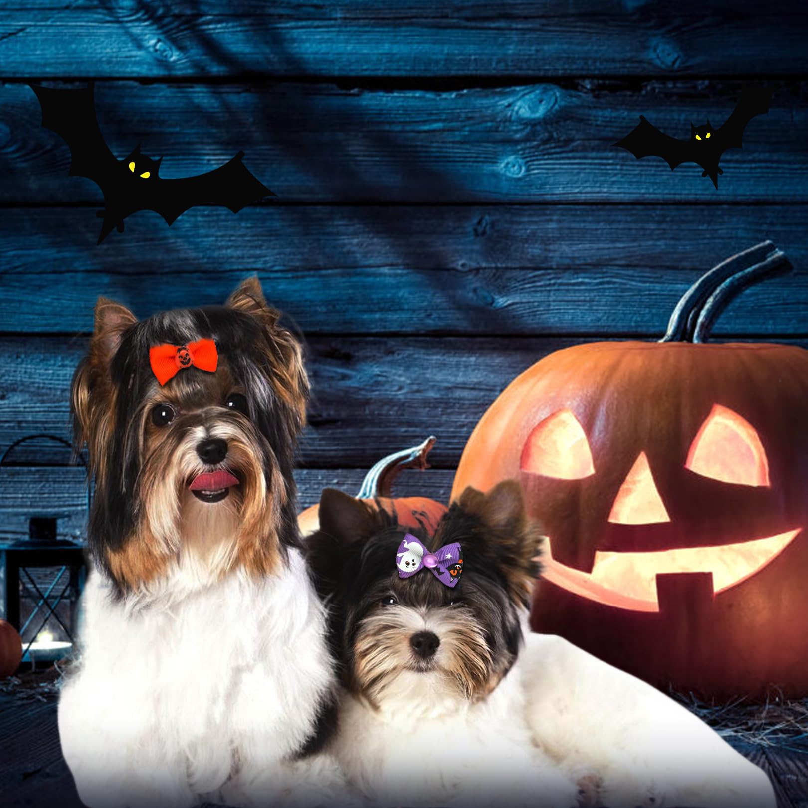 ハロウィン、短毛シュシュ(ブラック)わんちゃん猫ちゃん用 ハロウィン、短毛シュシュ(ブラック)わんちゃん猫ちゃん用