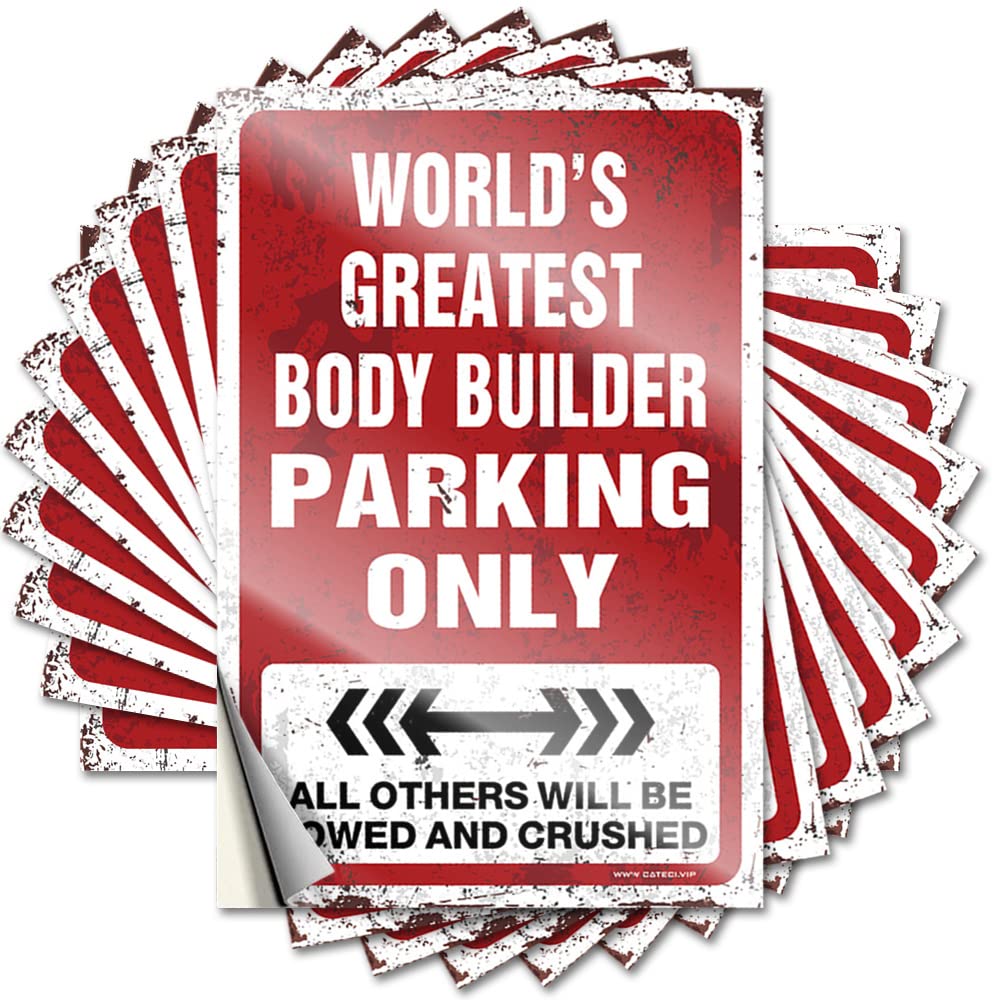 Punk Quote Aesthetic Decals, Bar Room Decor Cute Pattern Design for Darts Notebook | Bottle Removable Vinyl World's Greatest Body Builder Parking Only(8X12CM)