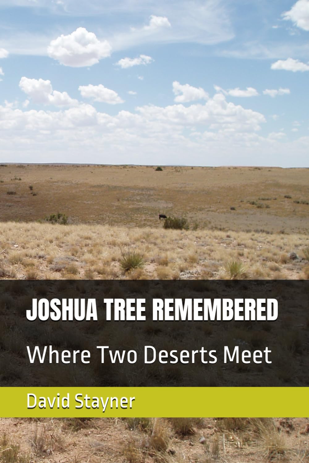 JOSHUA TREE REMEMBERED: Where Two Deserts Meet (National Parks Remembered)