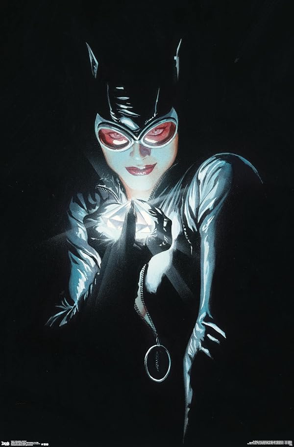 Trends International DC Comics - Catwoman - Portrait Wall Poster, 22.375" x 34", Premium Unframed Version by Trends International - Used condition - US$19.60