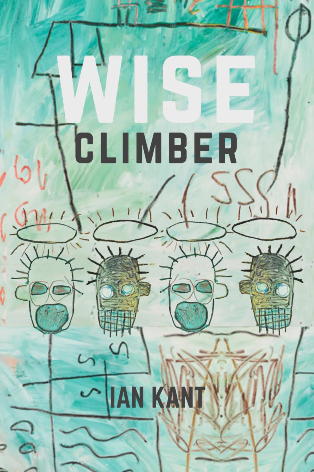 WISE CLIMBER: Illustrated Ideas (Climb Harder)