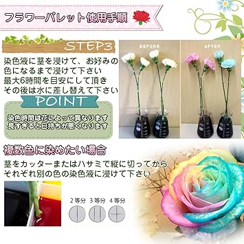 Amazon Co Jp フラワーパレット 切り花染色剤 自由研究 フラワーアレンジメント プレゼント 6色セット ホビー