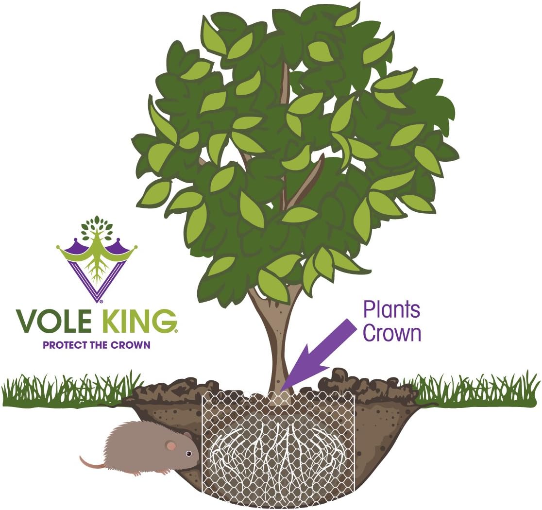 VOLE KING Plant Baskets - Gopher and Vole Baskets, 1 Gallon, Pack of 4 - Protect Plants, Trees, Flowers and Bulbs from Voles, Gophers and Moles - A One Time Solution, No Repellent Needed