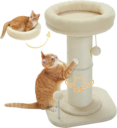 PEQULTI Flower Cat Scratching Post, Small Cat Tree, Scratcher for Indoor Cats with Super Thick Scratching Post [Dia=5.5''], Removable Flower Bed, Cat Scratch Post with Spring Ball, Pink