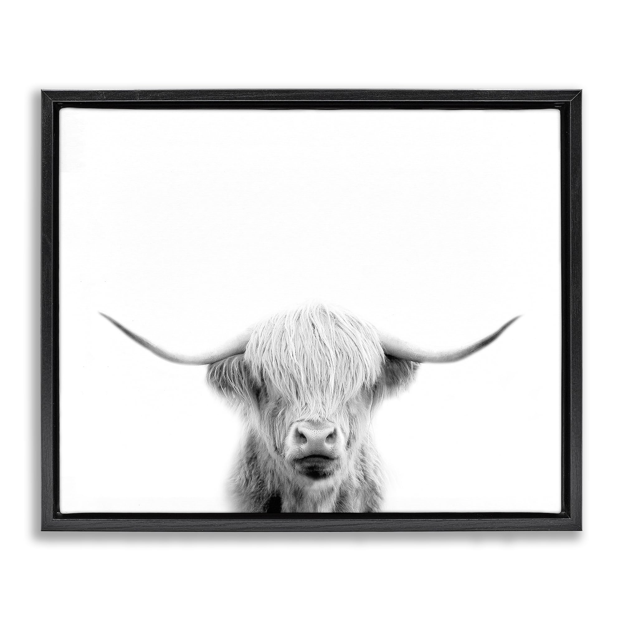 Stupell Industries 'Scottish Cow Portrait', Floating Frame Canvas Art, Black, 31 x 25 Inches, Easy to Hang and Sturdy, Made in USA, by Leah Straatsma