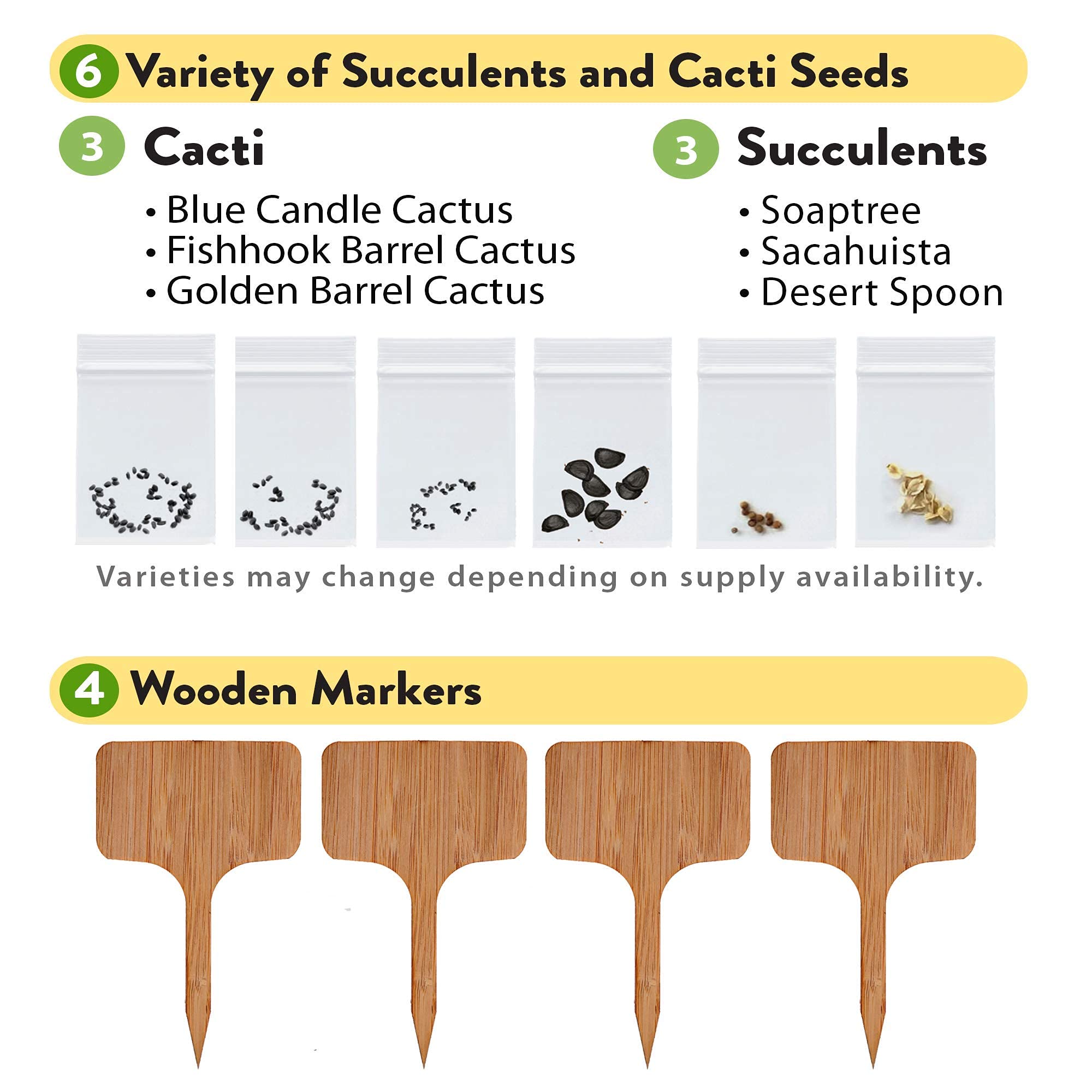 Deluxe Succulent & Cactus Seed Grow Kit Complete Indoor Cactus