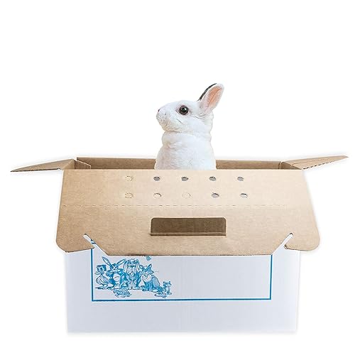 Miniatura 10 de Transportador de mascotas de cartón desechable 12caso