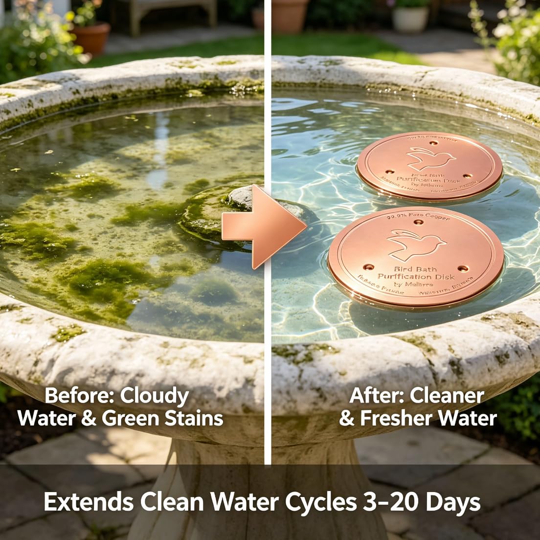 View 7