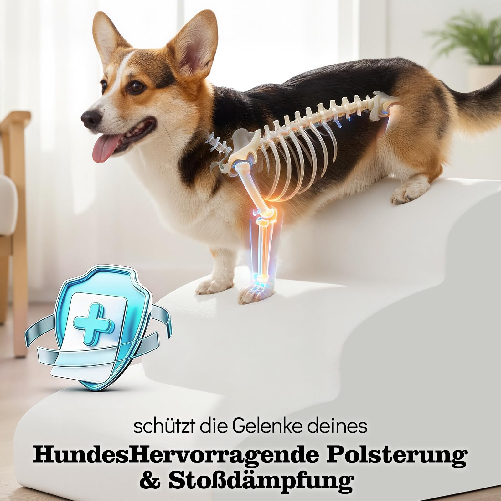 MASTERTOP Hundetreppe für kleine Hunde, Hundetreppe 3 Stufen aus Hochdichter Schwamm, rutschfest Tragbar Hunderampe Katzentreppe mit Tragegriff und Aufbewahrungstasche für Sofa Betten(Schwarz)