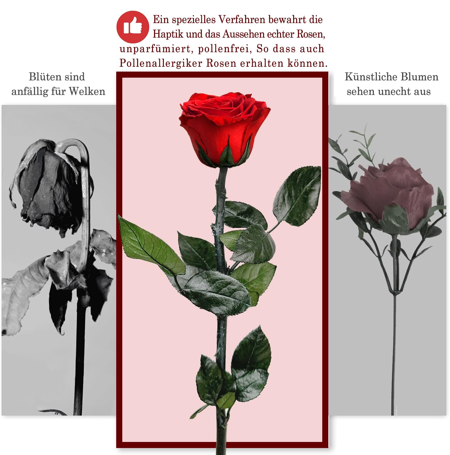 Enkele rode long life roos in geschenkdoos | Long life roos