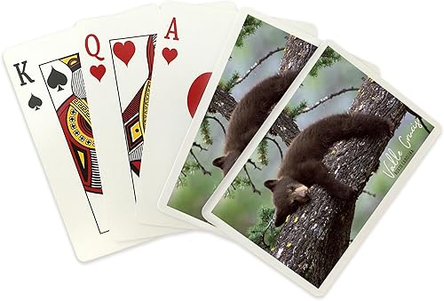 Miniatura 2 de Lantern Press Valle Crucis, Carolina del Norte, Bear Cub Sleeping (52 cartas de juego, baraja de cartas de tamaño póquer con comodines)