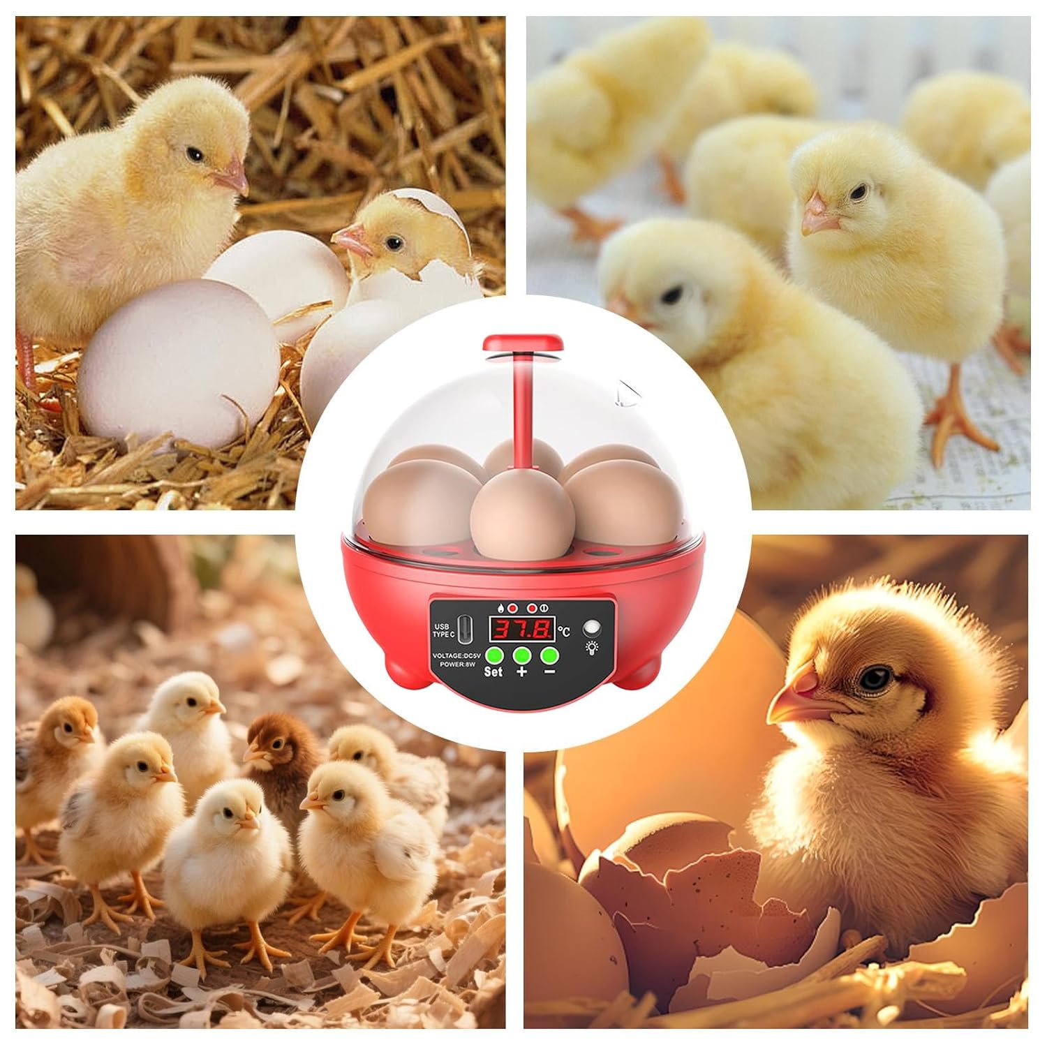 Egg Incubators for Hatching Eggs,6-Slot Bird Candler | Clear Window Quail Incubator with Automatic Temperature and Humidity Control,for Chicken Duck Quail Bird Farm