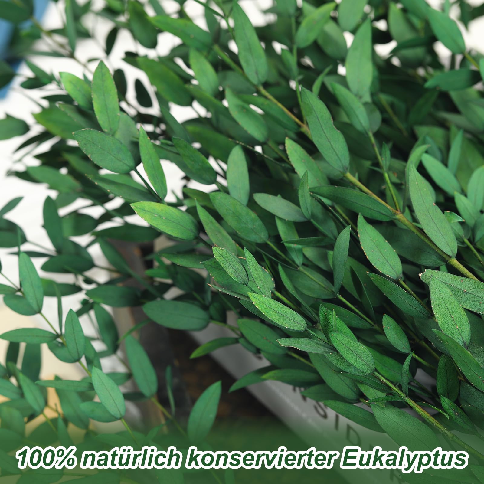 Konservierte echte Eukalyptuszweige, 7-12 STK. feinblättriges Eukalyptus Grün für Hausdekoration - Vasenfüller, Hochzeitsdekoration, Blumenarrangements, Basteln (35-45 cm, Grün)