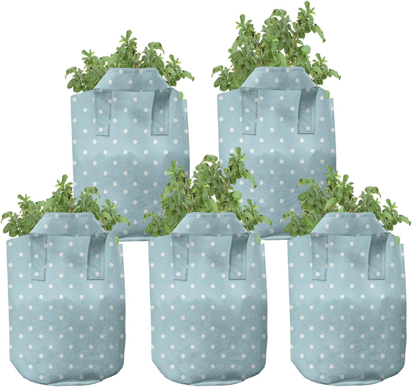 Ambesonne Pale Blue Grow Bags 5-Pack, Polka Dots Classical, Heavyduty Fabric Pots with Handles for Plants, 5 Gallon, Pale Blue White