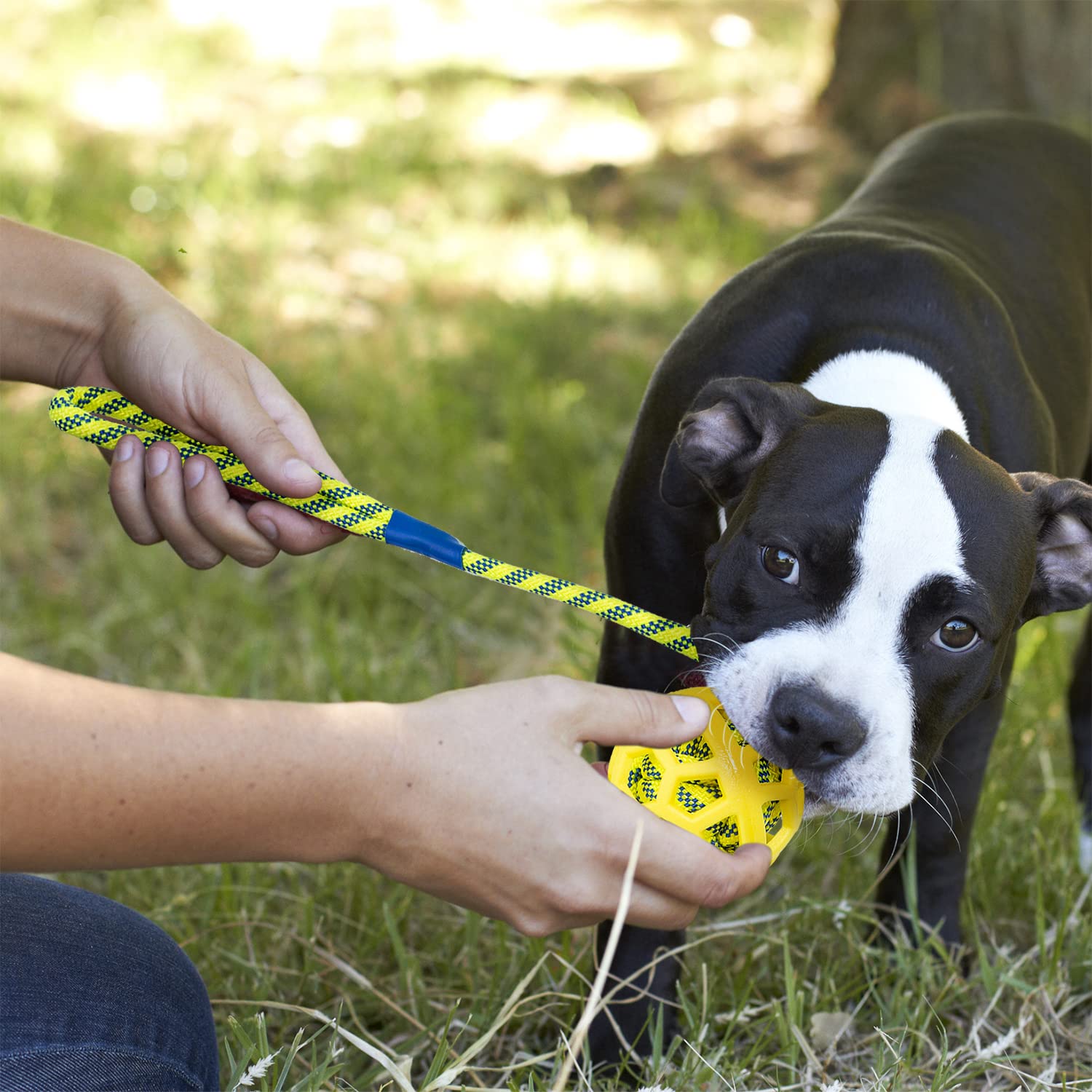 K9 Trainingsball Mit Seil Für Hunde – Unzerstörbarer Gummiball 6 Cm, 30 Cm Seil, Für Apportieren & Zerrspiele