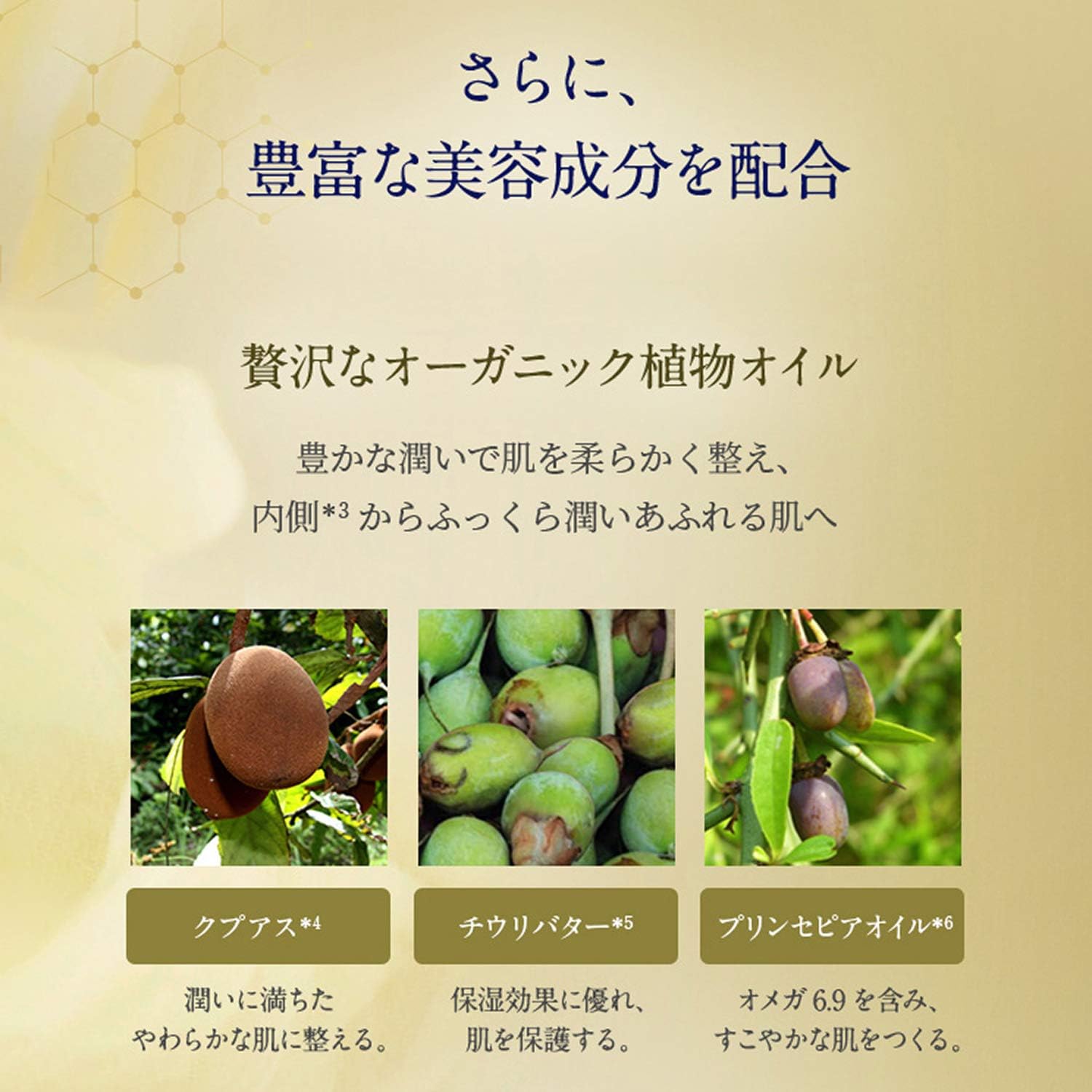 8 11 01 59までポイント5倍フランキンセンスインテンスクリーム 乾燥 キメ 50g ハリ ヒアルロン酸 エイジングケア ニールズヤード 保湿 スキンケア ギフト 保湿クリーム 弾力 オーガニック エイジングケア用プレミアム保湿クリーム