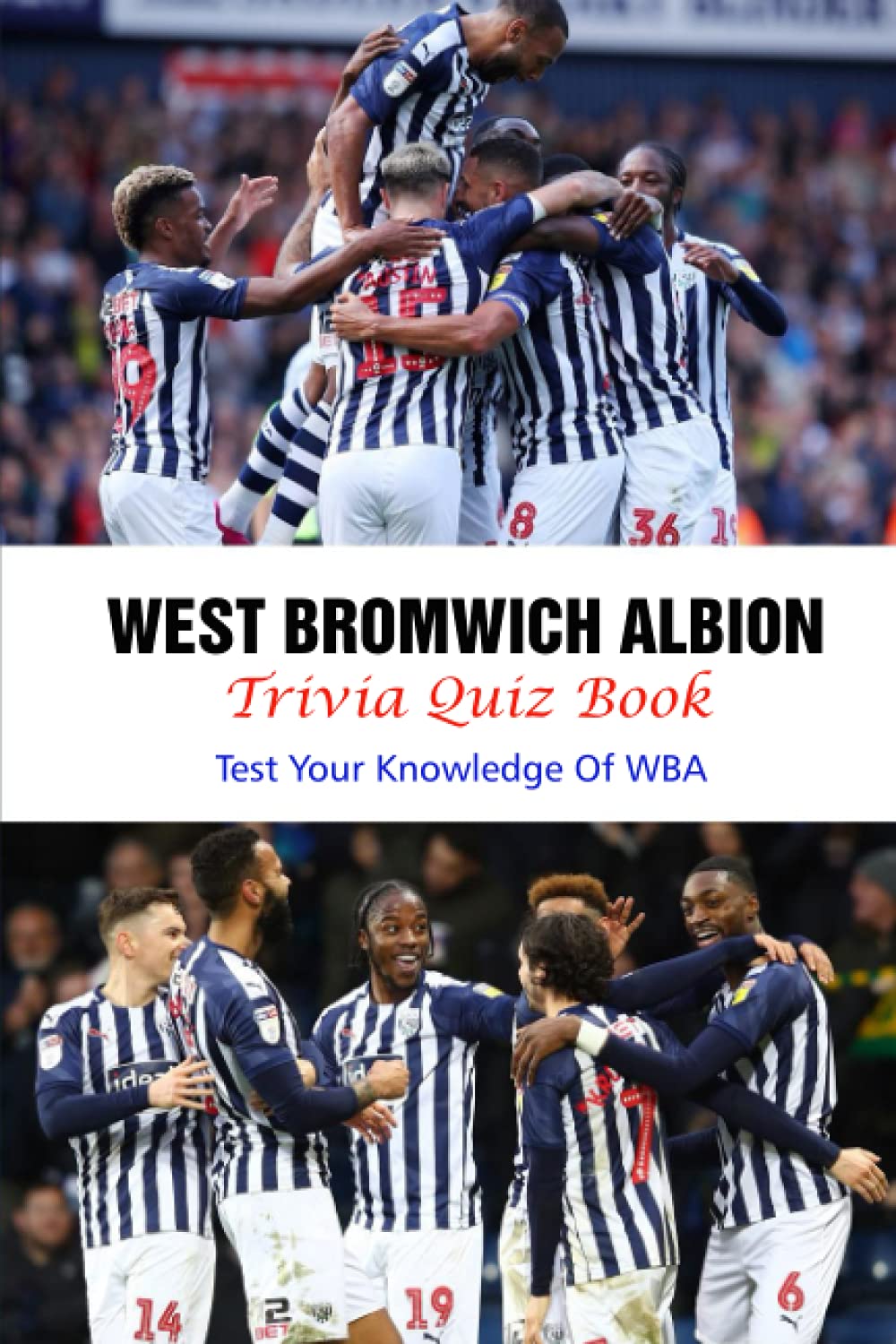 West Bromwich Albion Trivia Quiz Book: Test Your Knowledge Of WBA