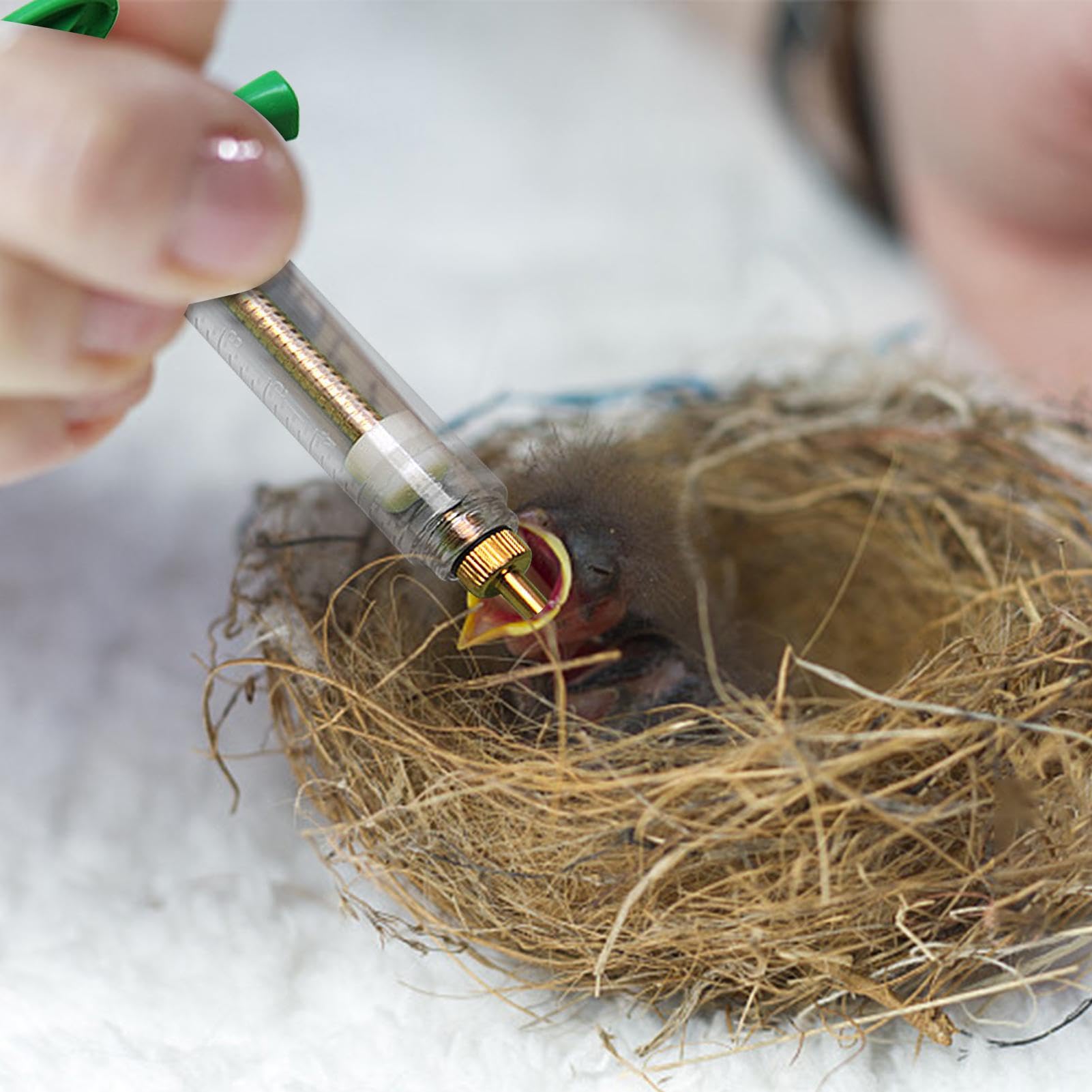 Seringue pour aliments pour jeunes oiseaux avec tuyau souple et cuillère, kit d'injecteur d'alimentation à la main facile à nettoyer pour oiseaux malades, lait, liquide