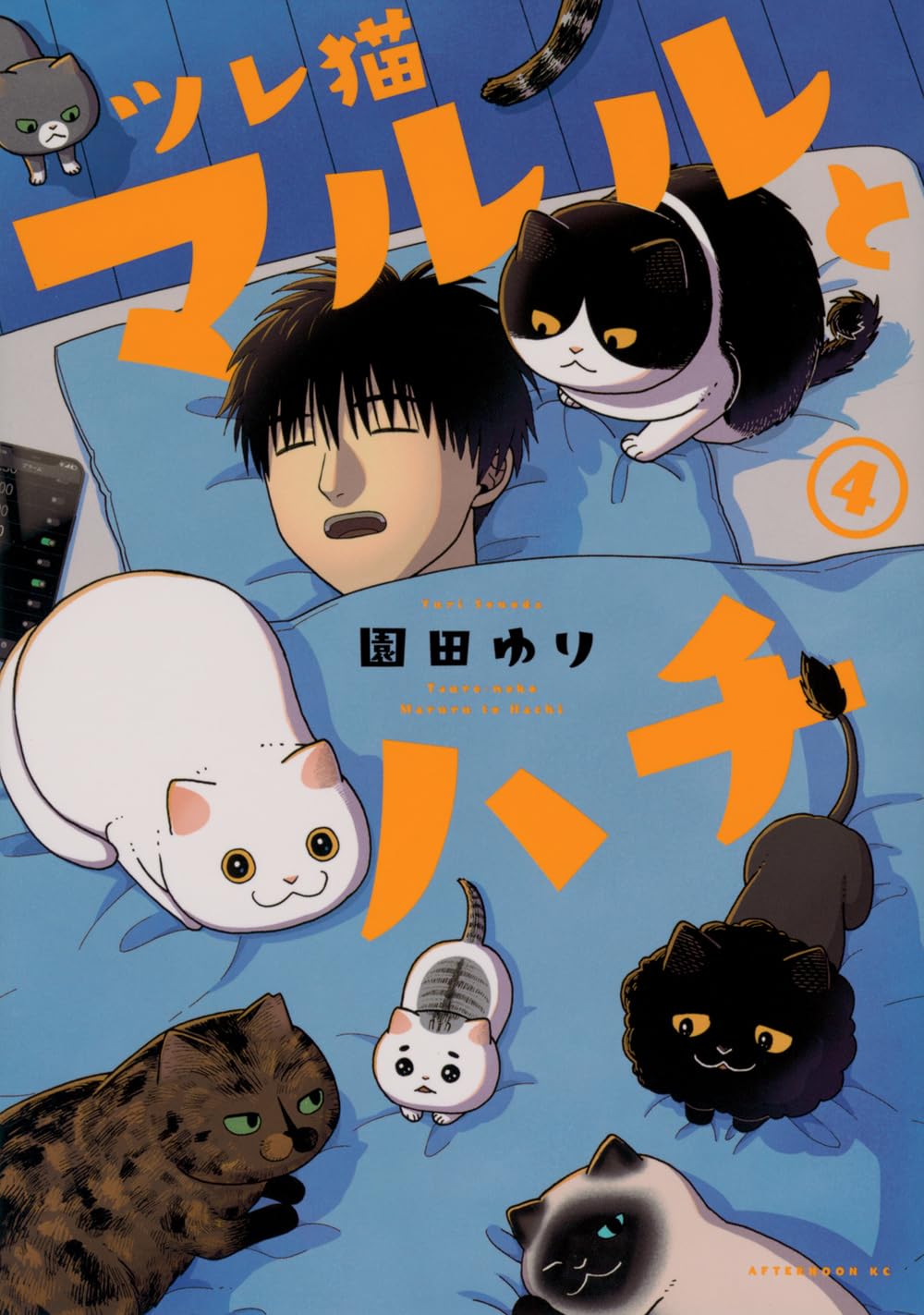 レア　メトロカード 500 使用済　猫とキツネ 71V0ecYRhHL.jpg