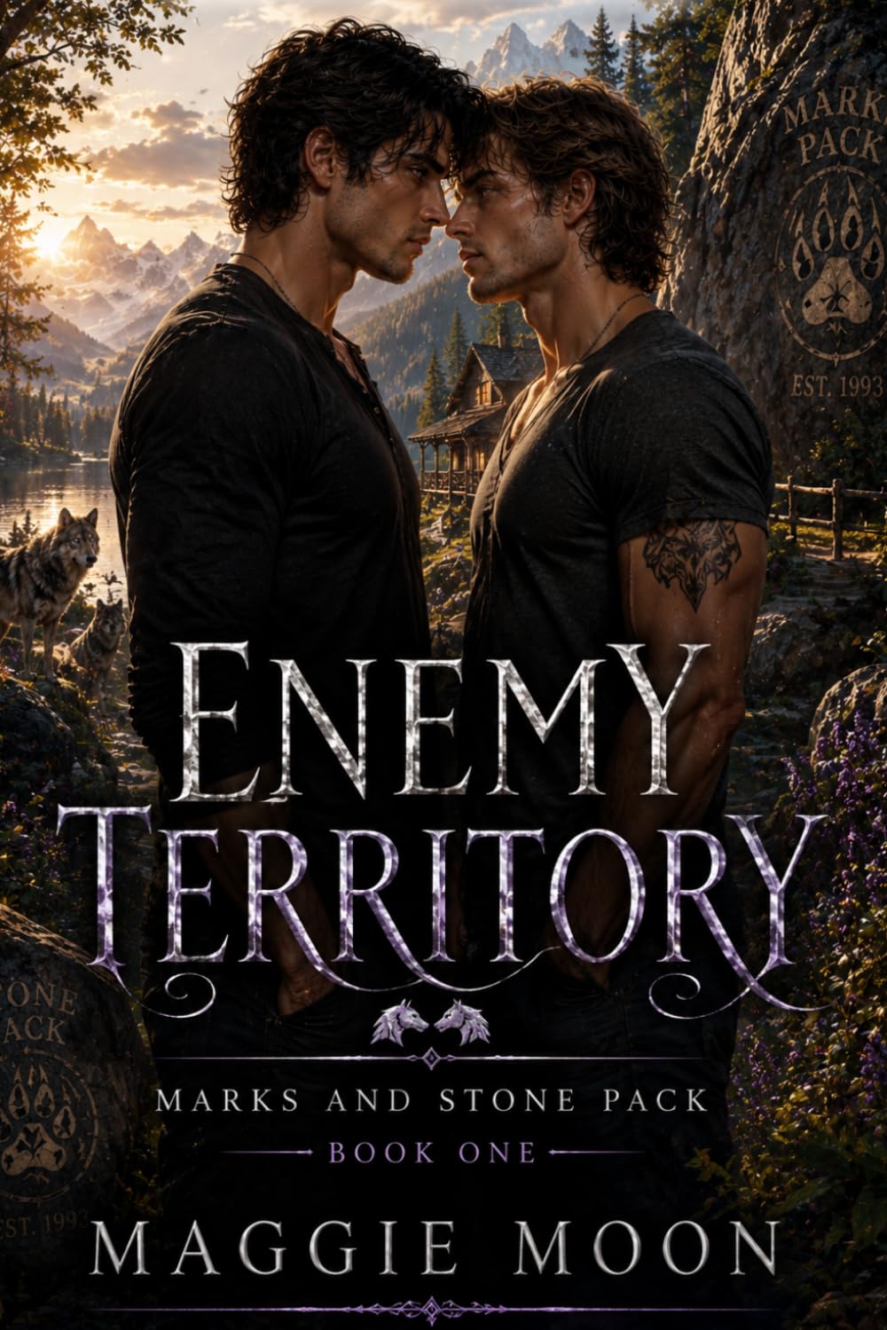 Enemy Territory: Marks and Stone Pack Book One