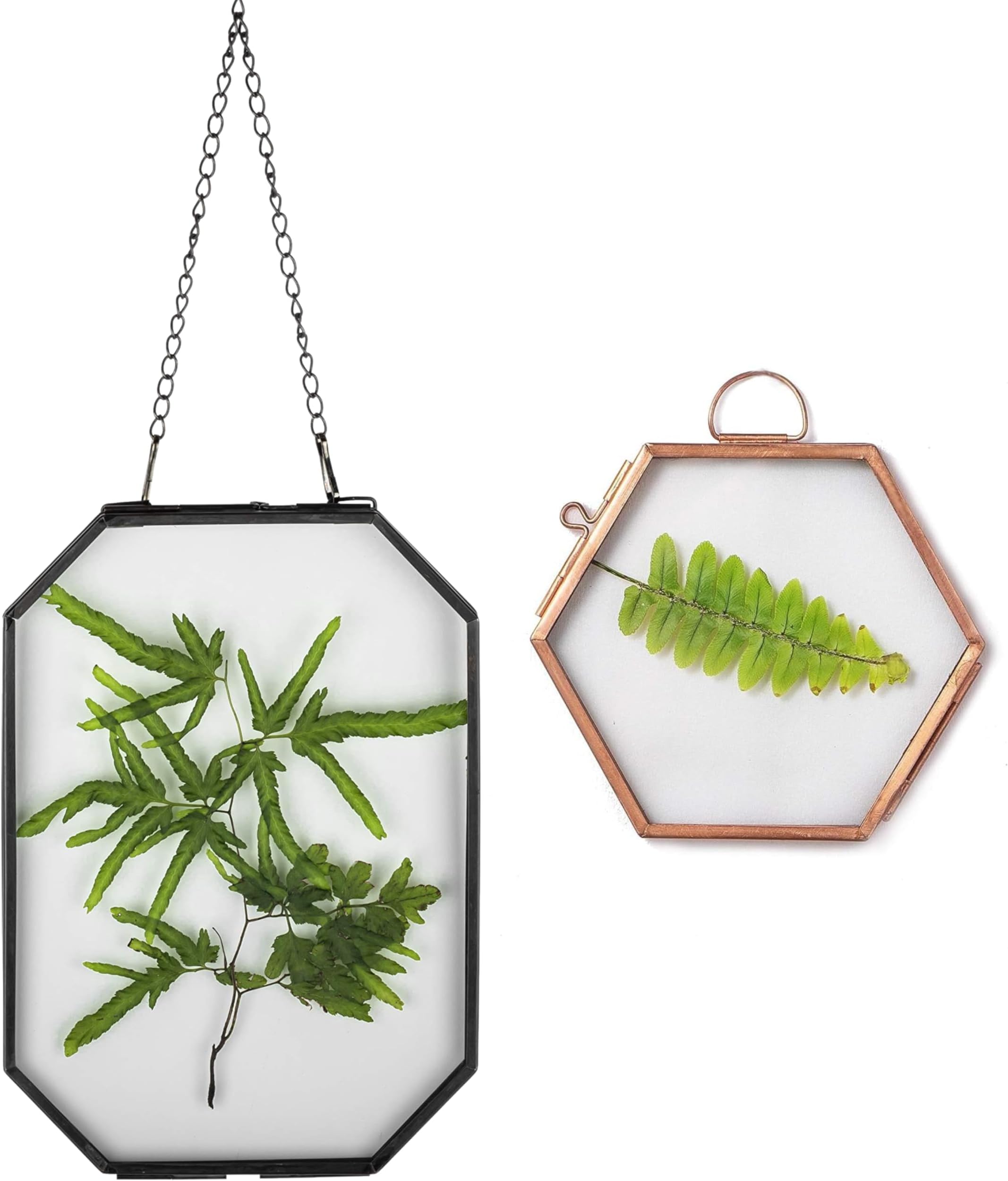 Double Glass Frame Bundle - Octagon Shaped 5 x 7 Black Glass Floating Frame, and Hexagon Shaped Mini Rose Gold Floating Frame, for Pressed Dried Flowers, Photo, Picture, Poster, Herbarium (Glass