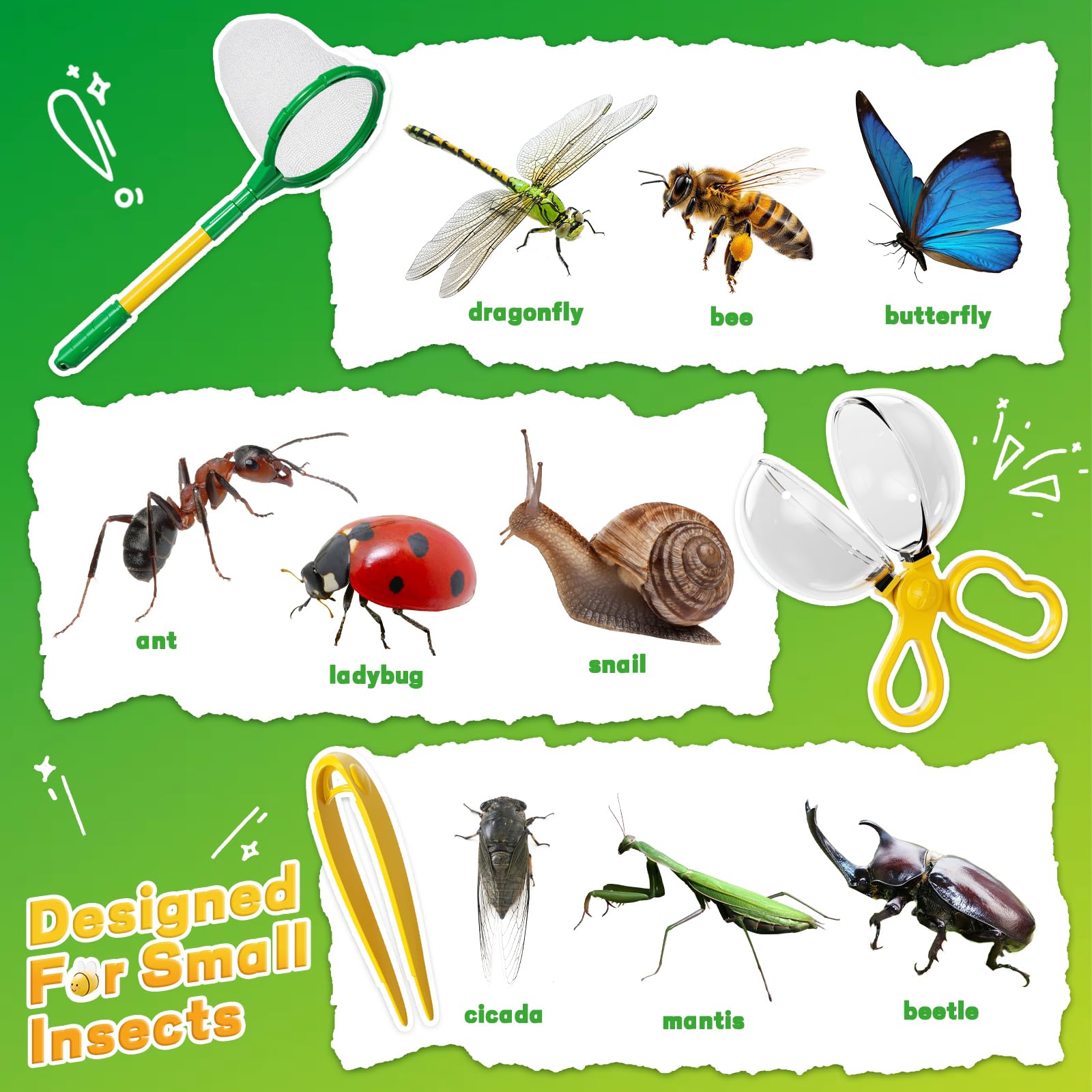 Insektenfänger für Kinder – 10-teiliges Outdoor-Entdecker-Set, Spielzeug mit Schmetterlingsnetz und Käferhaus, pädagogisches Abenteuer, Kinderspielzeug für Kinder im Alter von 3, 4, 5, 6, 7, 8 Jahren