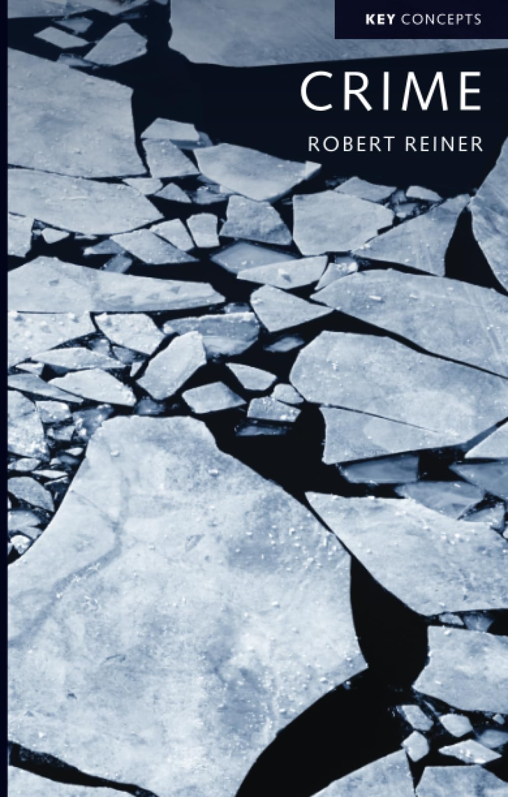 Crime: The Mystery of the Common-Sense Concept (Key Concepts)