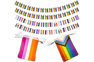 2Pcs Pride Flag Rainbow Banner, LGBT String Flags Rainbow Flag Gay Pride Flag