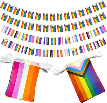2Pcs Pride Flag Rainbow Banner, 32.8ft LGBT Flag Pride Decorations, LGBT String Flags Rainbow Flag Gay Pride Flag, Colorful Gay Flag Pride Decor for LGBT Party Rainbow Party 2 Styles, 60 Flags