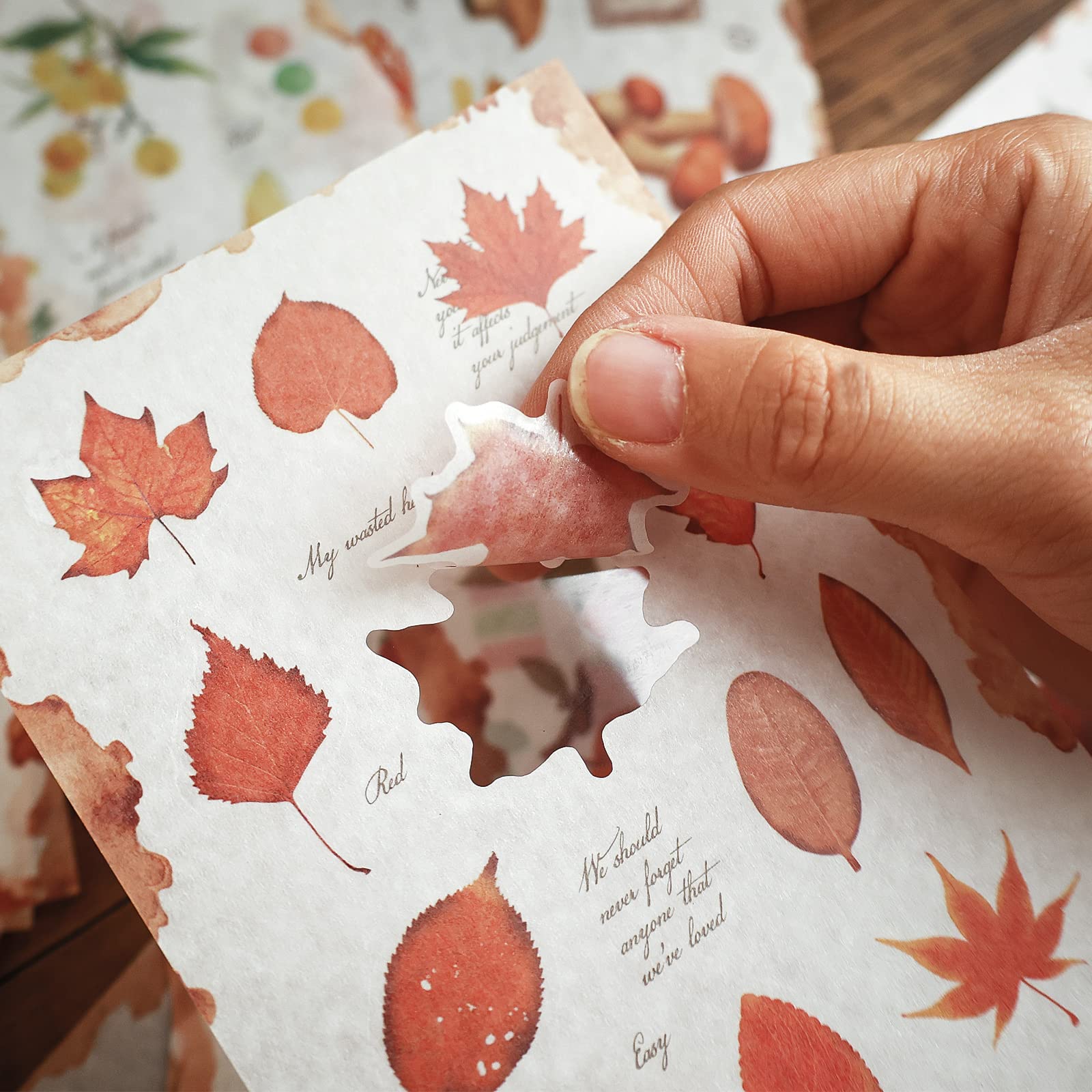 Dizdkizd Washi Nature książka z naklejkami do scrapbookingu, liść i owoce