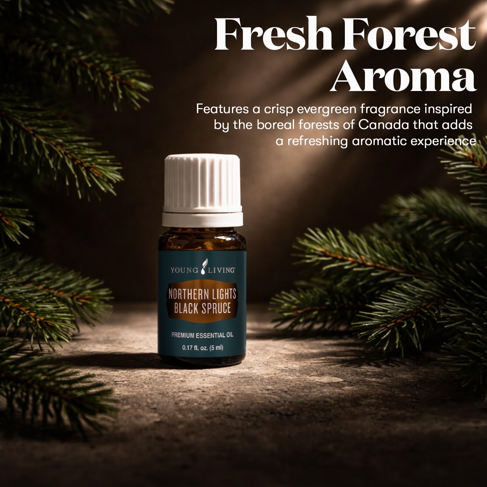Amazon.com: Young Living Northern Lights Black Spruce Essential