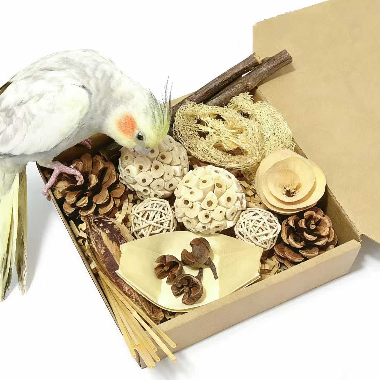 PINEPOP Bird Toys - Sola Ball Foraging Box, 10 Natural Ingredients | Chewing and Shredding Parrot Toys | Ideal for Parakeets/Cockatiels/Conures/Lovebirds and Small to Medium Birds