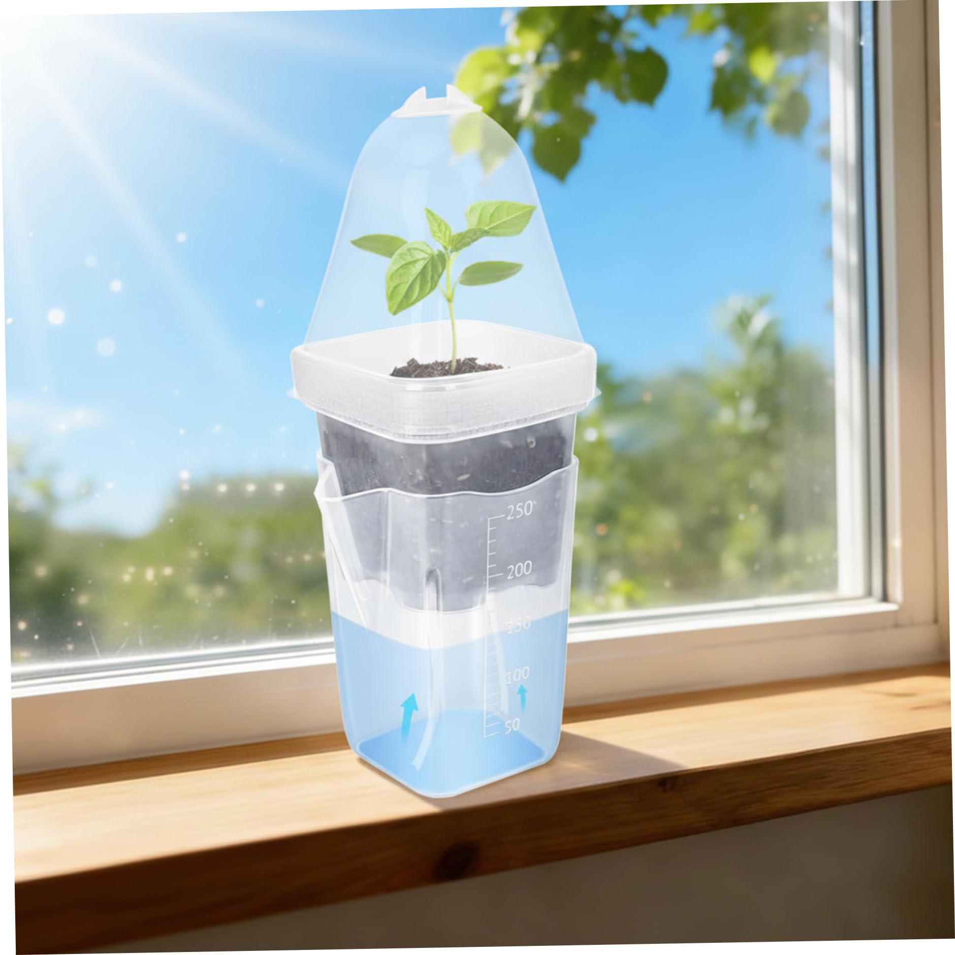 Confezione da 12 vasi autoirriganti, Sistema di irrigazione Automatica delle Piante con cupole umide e stoppini per piantine, Piante grasse e talee - Piccoli vasi da vivaio con drenaggio