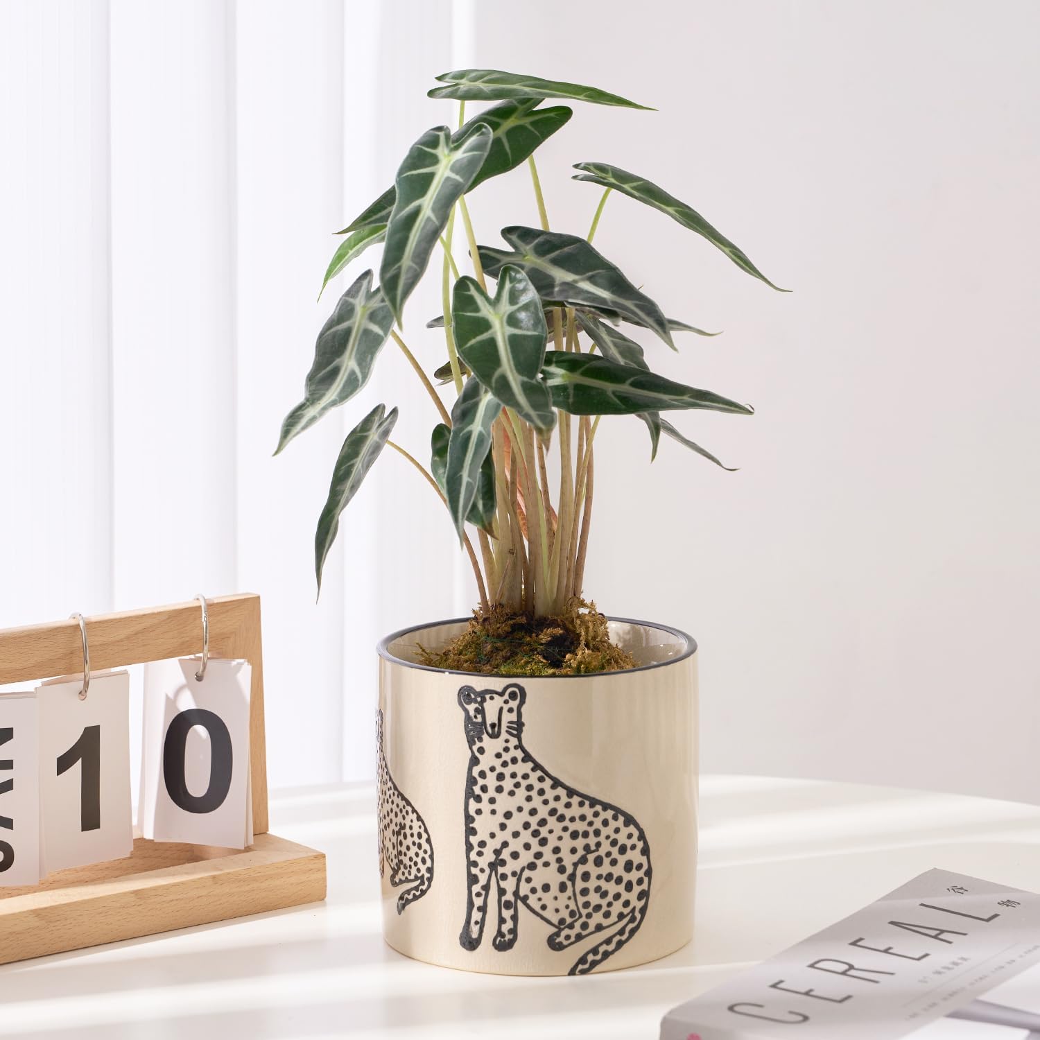 STHIE 5 Inch Ceramic Planters for Indoor Plants, Funny Small Plant Pots with Drainage, Unique Decorative Cute Flower Pot Panthers Round Flowerpots