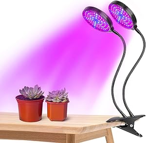 Crescere con le luci a led thumbnail classifica