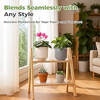 Vista 2 de Paquete de 20 Bandejas Cuadradas para Plantas de 6 Pulgadas, Bandejas de Plástico Transparentes para Plantas, Bandeja de Drenaje para Macetas