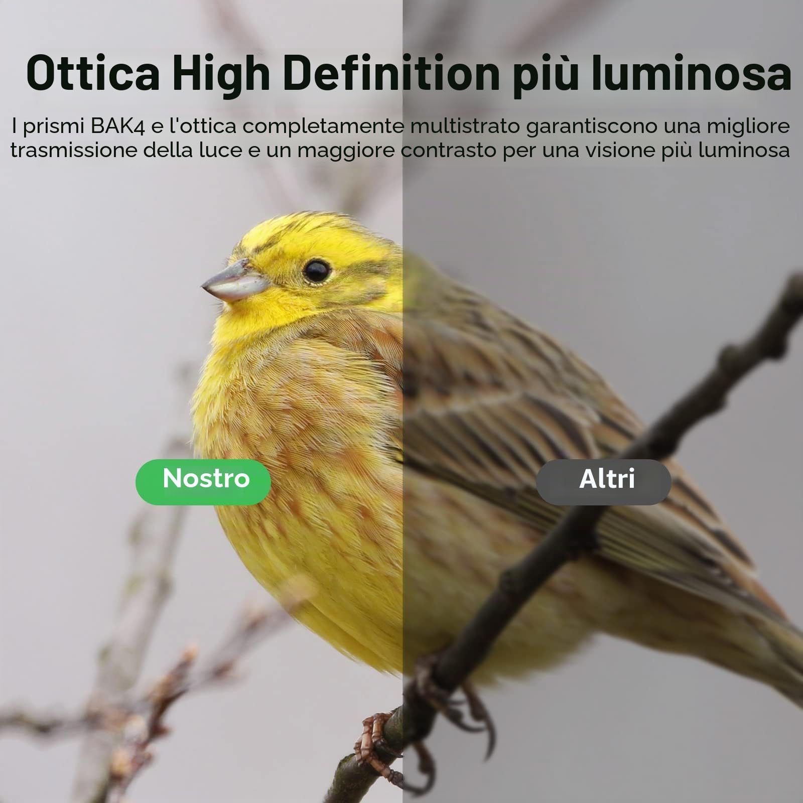 USCAMEL Binocolo Professionale Potente per Adulti: Binocolo 20x50 Professionale Alto Ingrandimento - Prisma BaK-4 e Lente FMC Binocoli con Adattatore Telefonico per Birdwatching Escursionismo