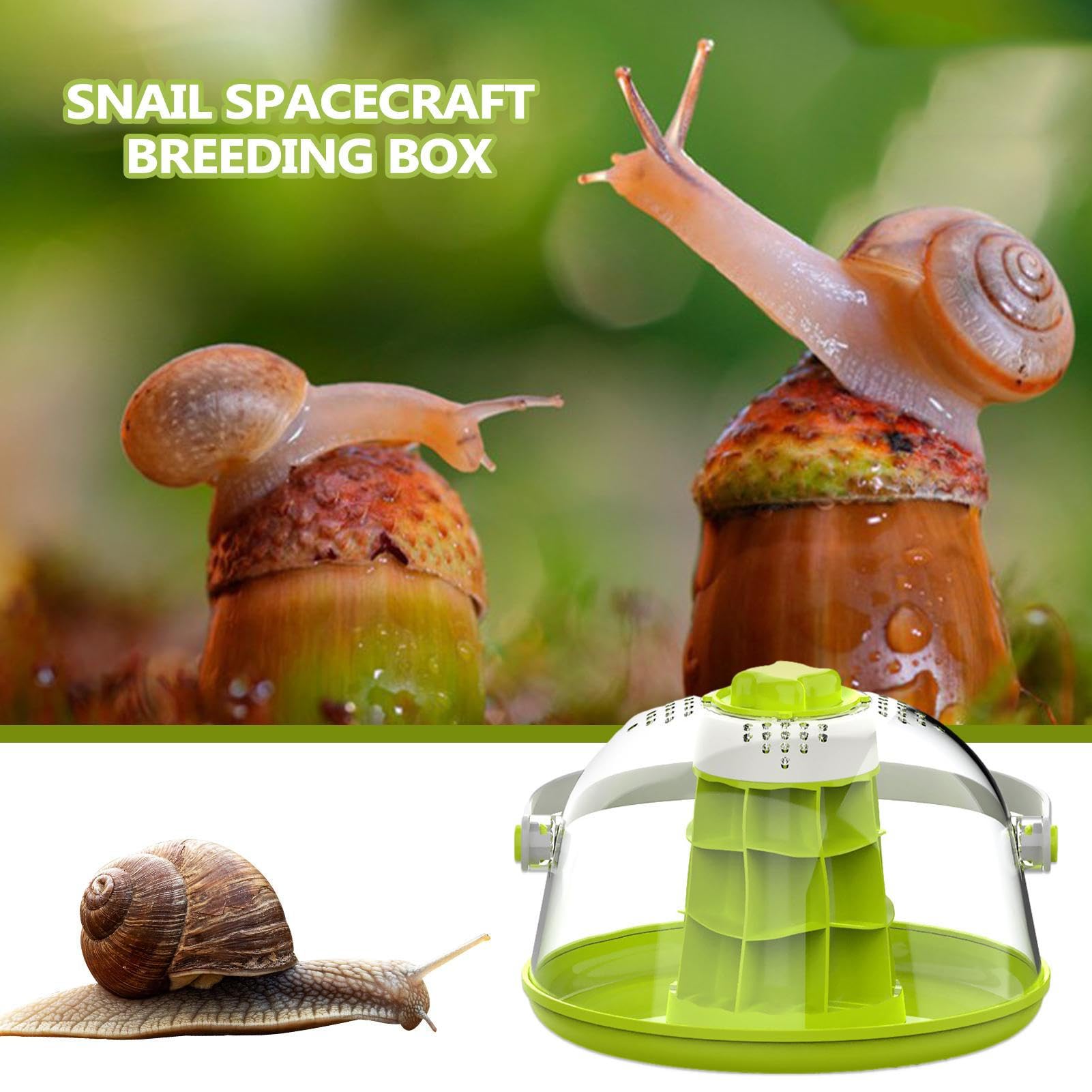 Terrarium pour Reptiles en Verre,boîte D'élevage D'escargots, Boîte D'élevage Légère pour Reptiles, Maison Respirante pour Escargots, À Soie, Tortues, Petits Animaux