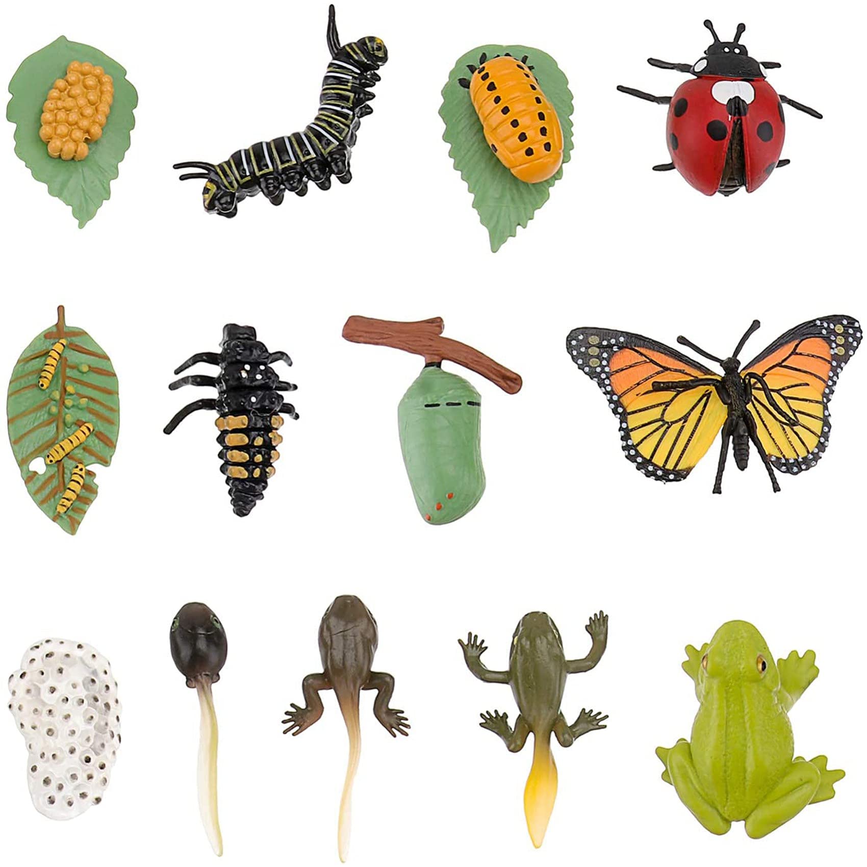 3 SäTze Insekten Figuren Lebens Zyklus Von Schmetterlings Marien Safariologie Wachstums Zyklus Modell Bildung Spielzeug