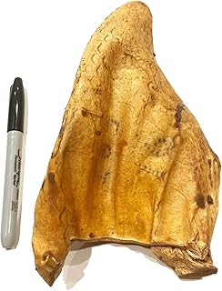 Cow Ears for Dogs - All Natural - Single Ingredient - 20 Peanut Butter Flavour - All Natural Whole Cow Ears - Dog Chew Treat - Rawhide Alternative - Highly Digestible Dog Chew - Larger Then Pig Ears