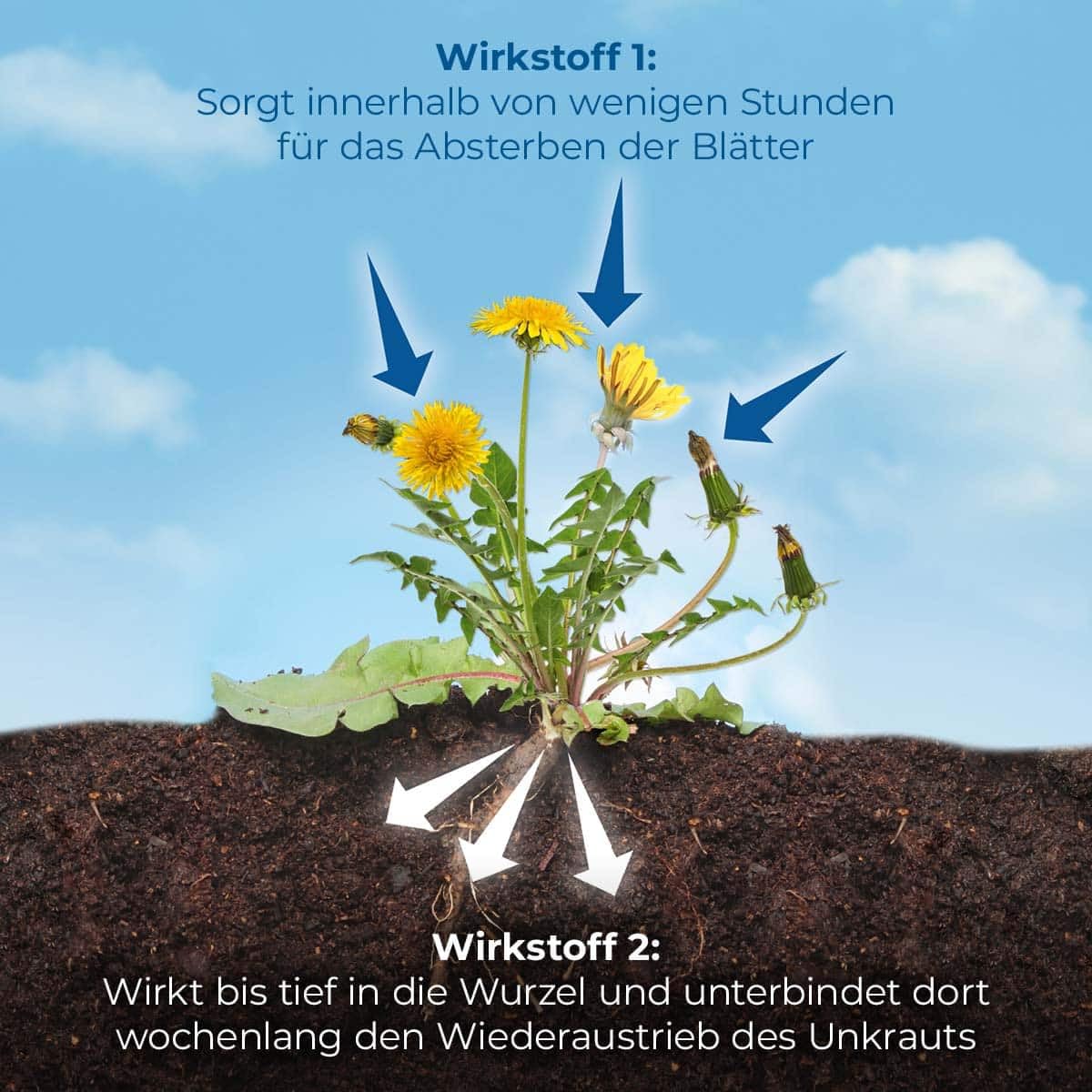 1l Permaclean Duo Unkraut & Wurzel-Ex