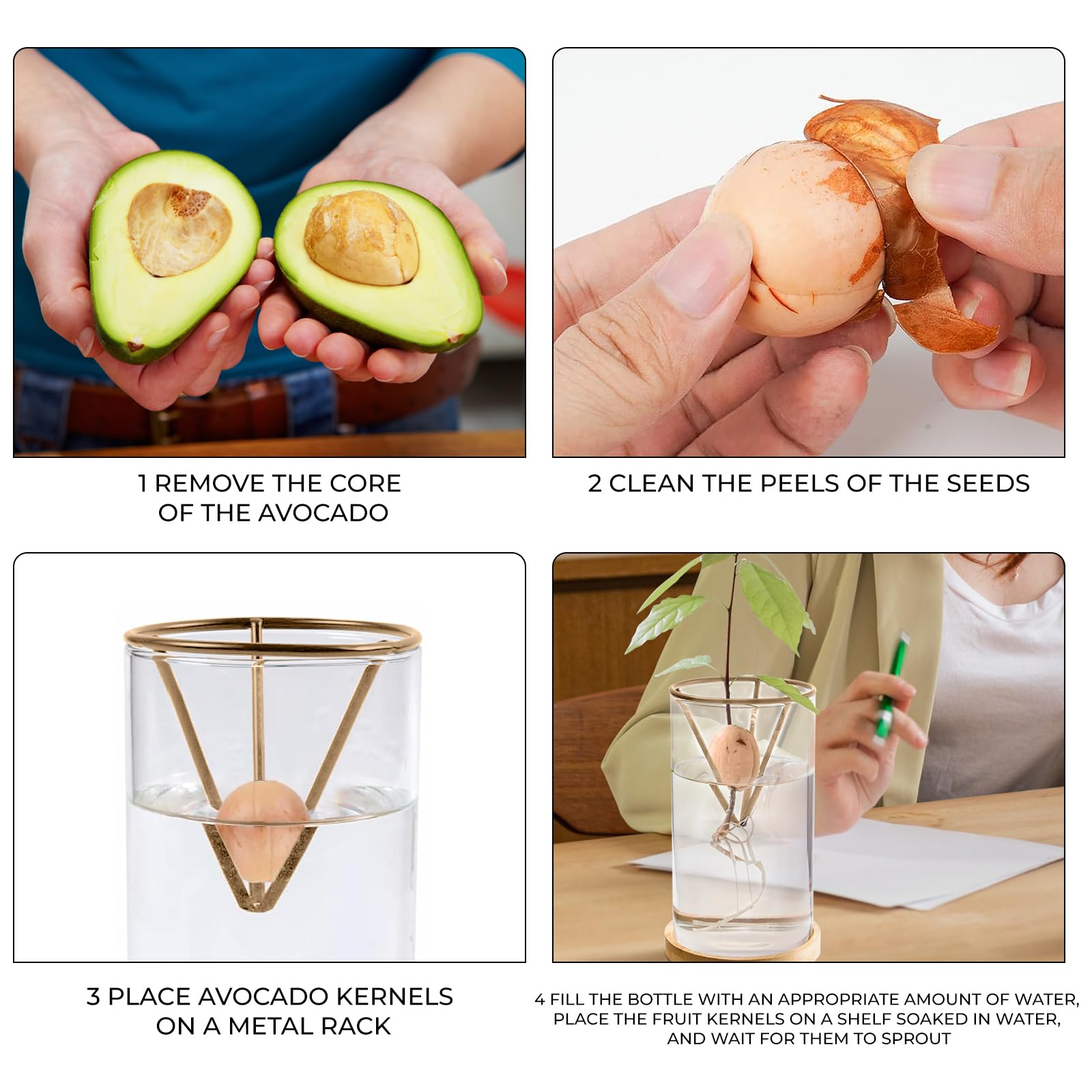 Kits de germination de plantes, kit de démarrage de graines d'avocat avec base en bois, vase en verre pour la maison, le bureau, la décoration de table, facile à utiliser pour cultiver des avocatiers