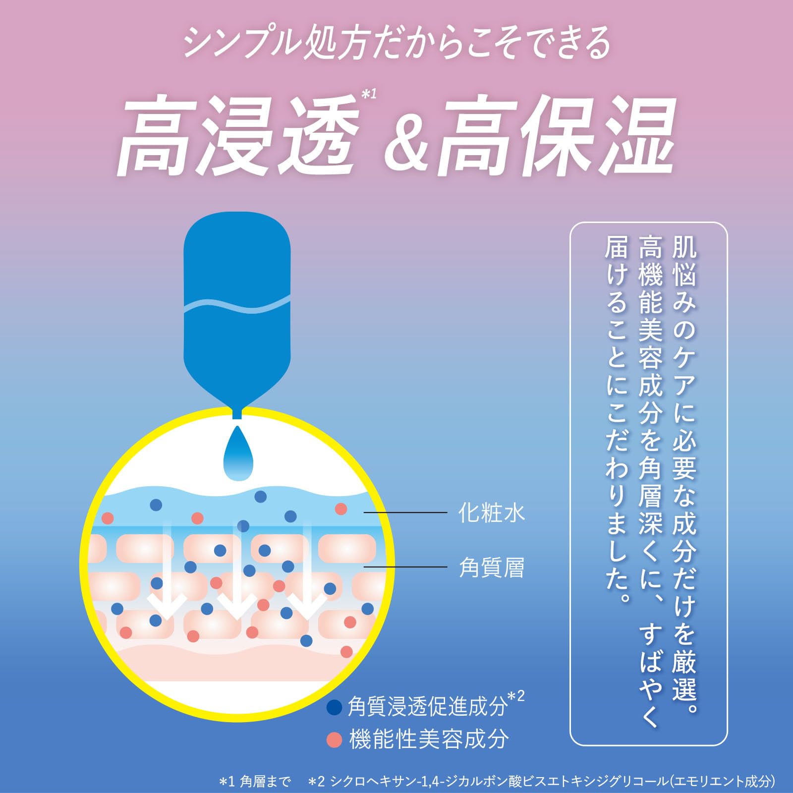Dw.LAB アゼライン酸トナー 500ml 保湿毛穴ケア
